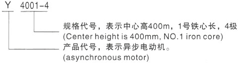 西安泰富西玛Y系列(H355-1000)高压YJTFKK5002-6三相异步电机型号说明